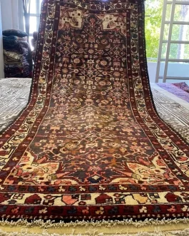 Hamadan runner