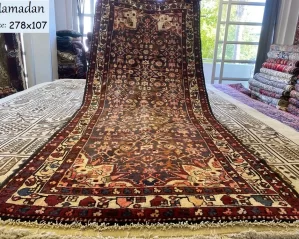 Hamadan runner