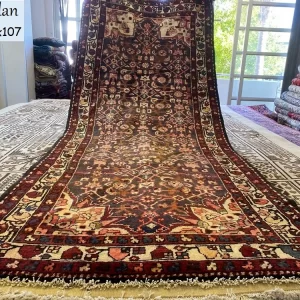 Hamadan runner