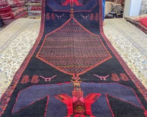 Shiraz runner