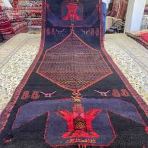 Shiraz runner
