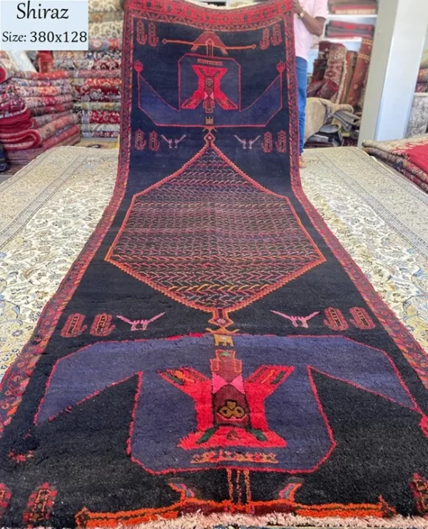 Shiraz runner